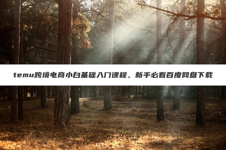 temu跨境电商小白基础入门课程,新手必看百度网盘下载 temu跨境电商小白基础入门课程,新手必看百度网盘下载