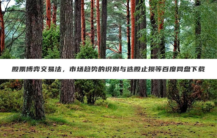 股票博弈交易法，市场趋势的识别与选股止损等百度网盘下载