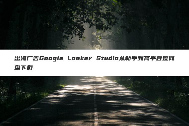 出海广告Google Looker Studio从新手到高手百度网盘下载 出海广告Google Looker Studio从新手到高手百度网盘下载