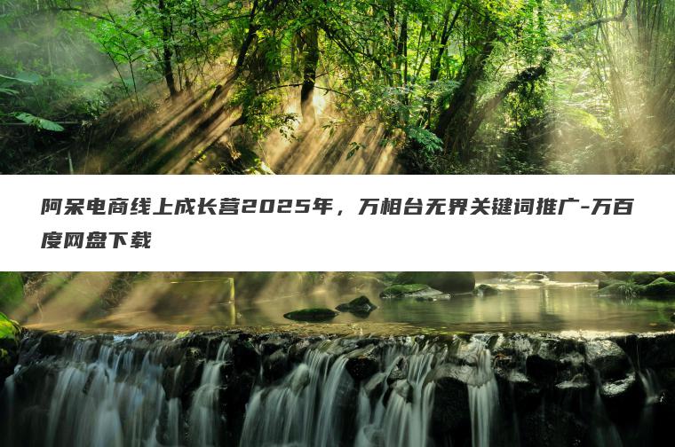 阿呆电商线上成长营2025年，万相台无界关键词推广-万百度网盘下载