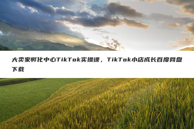 大卖家孵化中心TikTok实操课，TikTok小店成长百度网盘下载