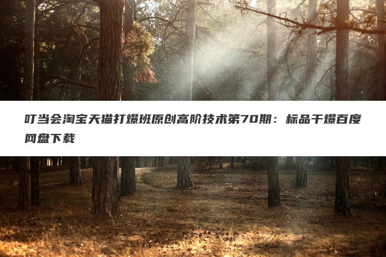 叮当会淘宝天猫打爆班原创高阶技术第70期：标品干爆百度网盘下载