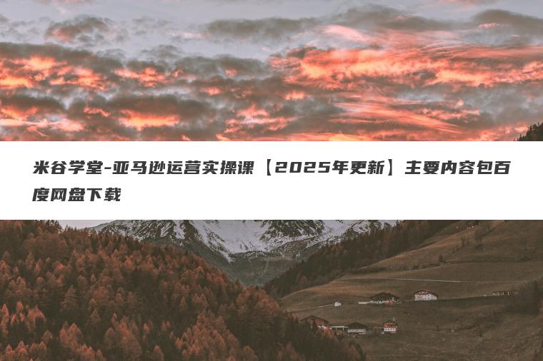 米谷学堂-亚马逊运营实操课【2025年更新】主要内容包百度网盘下载