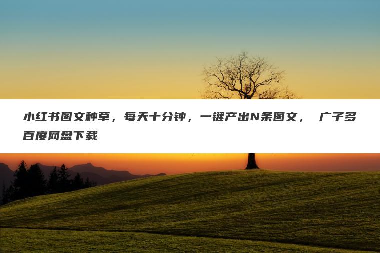 小红书图文种草，每天十分钟，一键产出N条图文， 广子多百度网盘下载