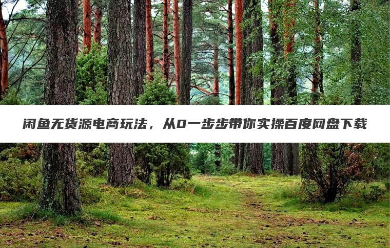 闲鱼无货源电商玩法，从0一步步带你实操百度网盘下载