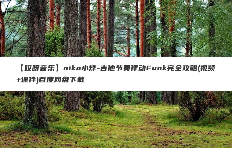 【哎呀音乐】niko小烨-吉他节奏律动Funk完全攻略(视频+课件)百度网盘下载
