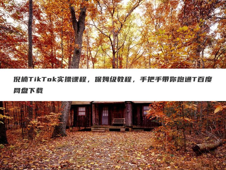 倪楠TikTok实操课程，保姆级教程，手把手带你跑通T百度网盘下载