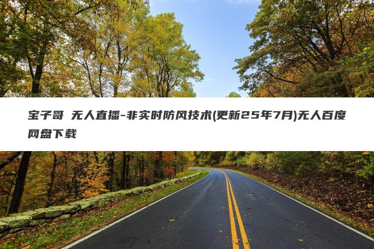 宝子哥・无人直播-非实时防风技术(更新25年7月)无人百度网盘下载