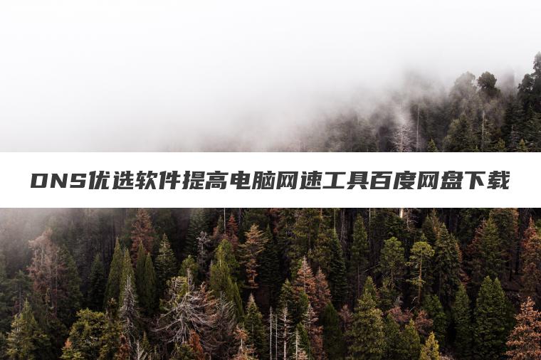 DNS优选软件提高电脑网速工具百度网盘下载