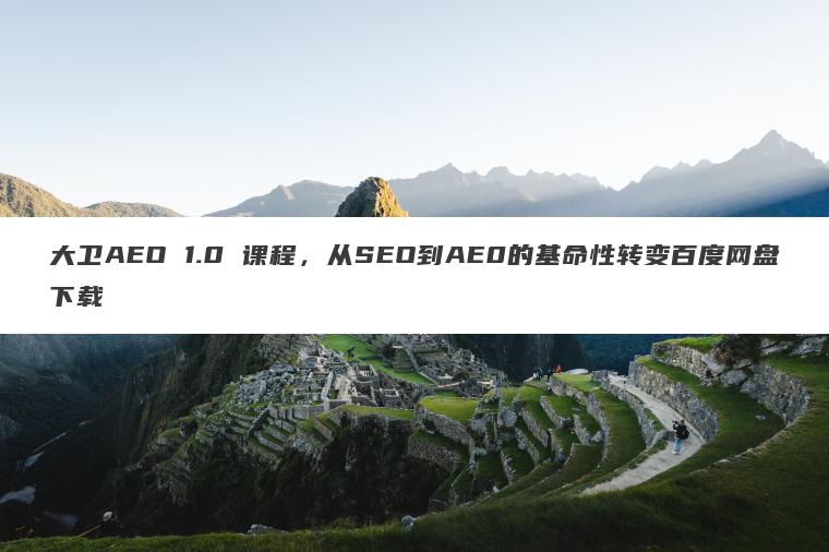 大卫AEO 1.0 课程，从SEO到AE0的基命性转变百度网盘下载