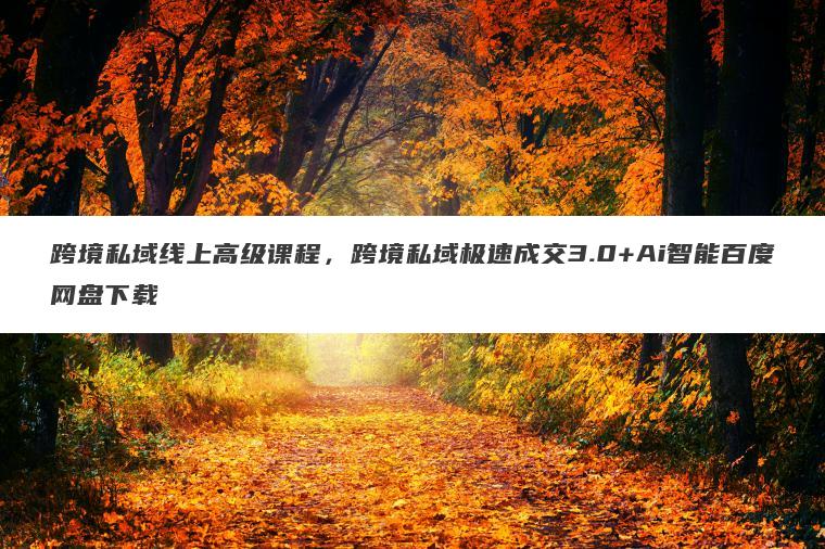 跨境私域线上高级课程，跨境私域极速成交3.0+Ai智能百度网盘下载