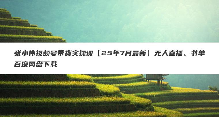 张小伟视频号带货实操课【25年7月最新】无人直播、书单百度网盘下载