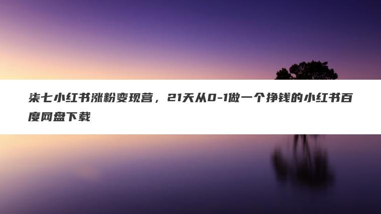 柒七小红书涨粉变现营，21天从0-1做一个挣钱的小红书百度网盘下载