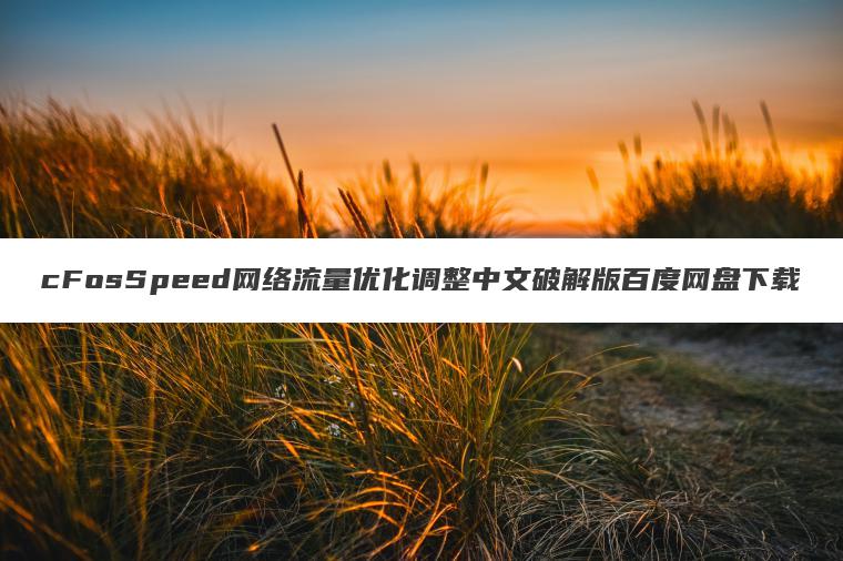 cFosSpeed网络流量优化调整中文破解版百度网盘下载