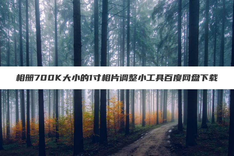 相册700K大小的1寸相片调整小工具百度网盘下载