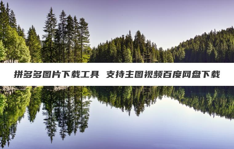 拼多多图片下载工具 支持主图视频百度网盘下载
