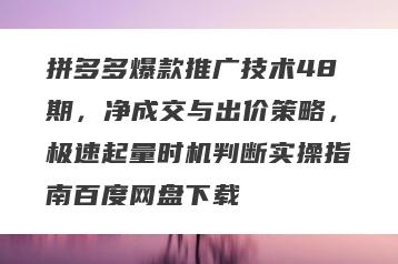 拼多多爆款推广技术48期，净成交与出价策略，极速起量时机判断实操指南百度网盘下载