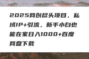 2025网创尽头项目，私域IP+引流，新手小白也能在家日入1000+百度网盘下载