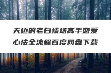 天边的老白情场高手恋爱心法全流程百度网盘下载