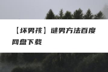 【坏男孩】谜男方法百度网盘下载