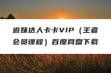 追妹达人卡卡VIP（王者会员课程）百度网盘下载