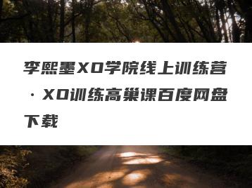 李熙墨XO学院线上训练营·XO训练高巢课百度网盘下载