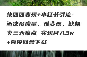 快团团变现+小红书引流：解决没流量、难变现、缺帮卖三大痛点 实现月入3w+百度网盘下载
