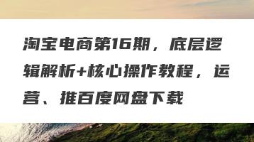 淘宝电商第16期，底层逻辑解析+核心操作教程，运营、推百度网盘下载