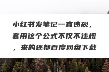 小红书发笔记一直违规，套用这个公式不仅不违规，来的还都百度网盘下载
