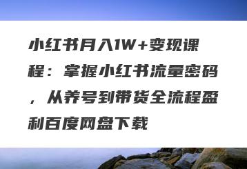 小红书月入1W+变现课程：掌握小红书流量密码，从养号到带货全流程盈利百度网盘下载
