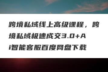 跨境私域线上高级课程，跨境私域极速成交3.0+Ai智能客服百度网盘下载