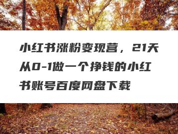 小红书涨粉变现营，21天从0-1做一个挣钱的小红书账号百度网盘下载