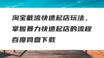 淘宝截流快速起店玩法，掌握暴力快速起店的流程百度网盘下载