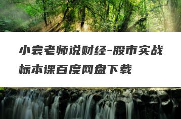 小袁老师说财经-股市实战标本课百度网盘下载