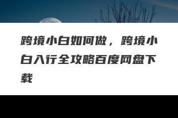 跨境小白如何做，跨境小白入行全攻略百度网盘下载