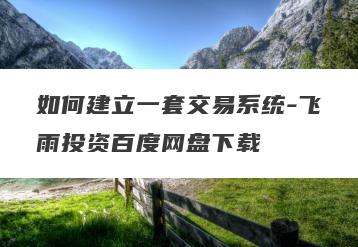 如何建立一套交易系统-飞雨投资百度网盘下载