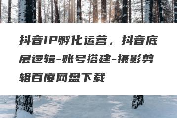 抖音IP孵化运营，抖音底层逻辑-账号搭建-摄影剪辑百度网盘下载