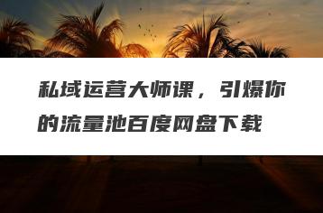 私域运营大师课，引爆你的流量池百度网盘下载