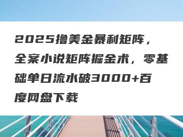 2025撸美金暴利矩阵，全案小说矩阵掘金术，零基础单日流水破3000+百度网盘下载