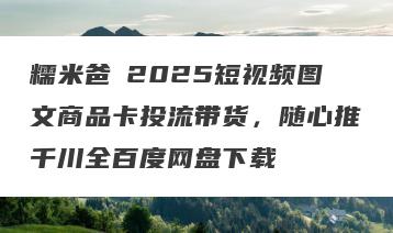 糯米爸・2025短视频图文商品卡投流带货，随心推千川全百度网盘下载