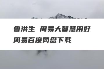 鲁洪生 周易大智慧用好周易百度网盘下载