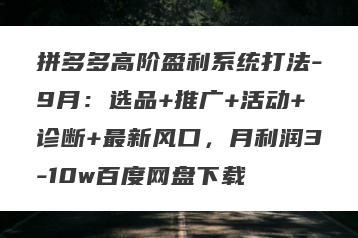 拼多多高阶盈利系统打法-9月：选品+推广+活动+诊断+最新风口，月利润3-10w百度网盘下载