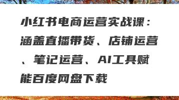 小红书电商运营实战课：涵盖直播带货、店铺运营、笔记运营、AI工具赋能百度网盘下载