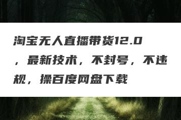 淘宝无人直播带货12.0，最新技术，不封号，不违规，操百度网盘下载