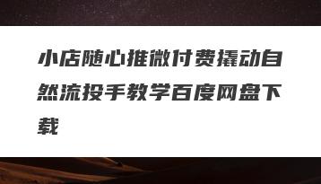小店随心推微付费撬动自然流投手教学百度网盘下载