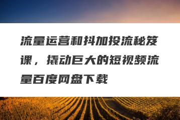流量运营和抖加投流秘笈课，撬动巨大的短视频流量百度网盘下载