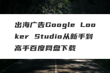 出海广告Google Looker Studio从新手到高手百度网盘下载