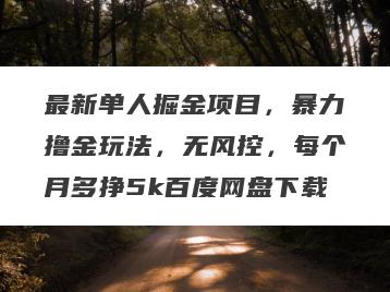 最新单人掘金项目，暴力撸金玩法，无风控，每个月多挣5k百度网盘下载