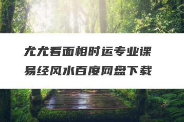 尤尤看面相时运专业课 易经风水百度网盘下载