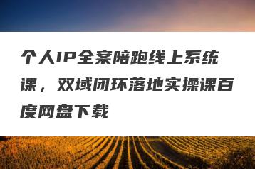 个人IP全案陪跑线上系统课，双域闭环落地实操课百度网盘下载
